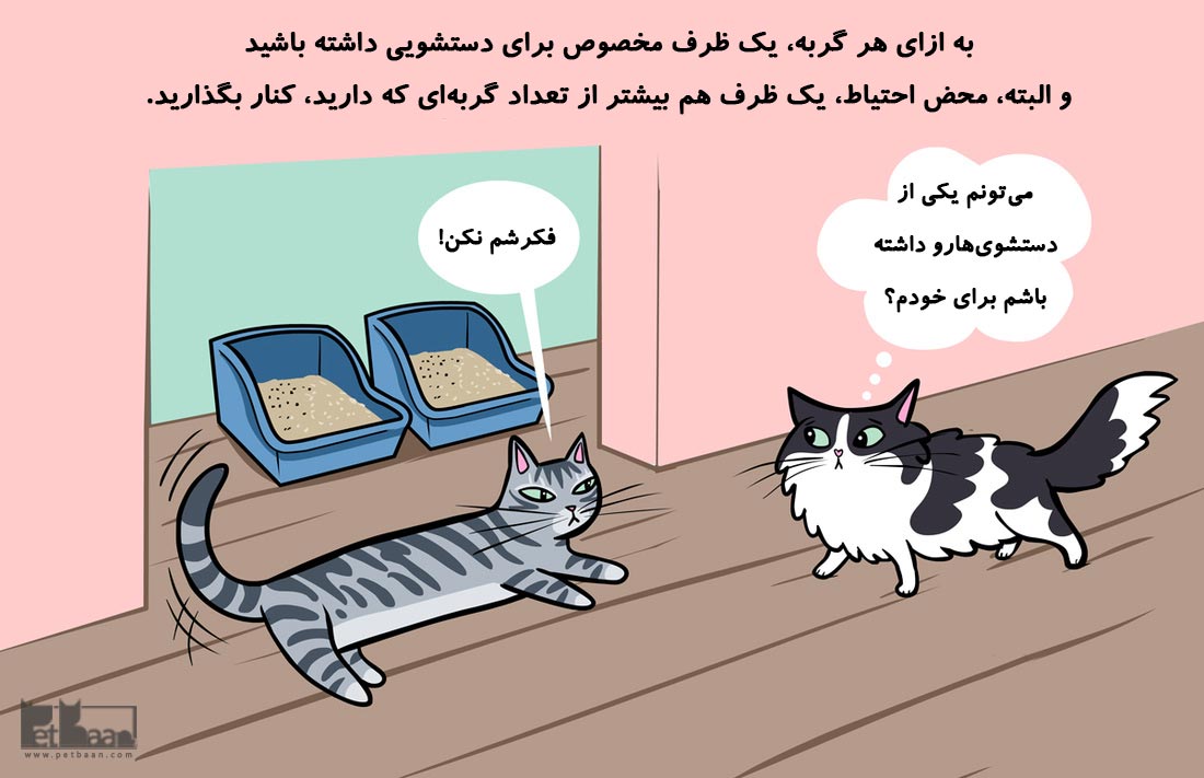 ظرف دستشویی برای گربه ها