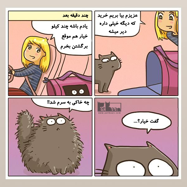 کمیک چرا گربه ها از خیار می ترسند