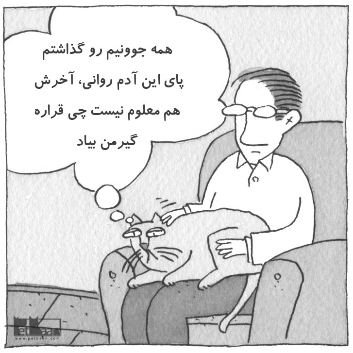 فواید گربه برای سلامت انسان