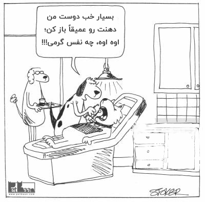 بوی بد دهان سگ