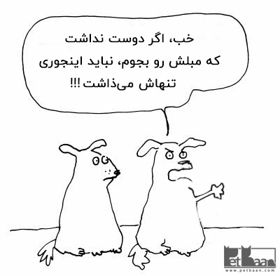 عادت جویدن سگ ها