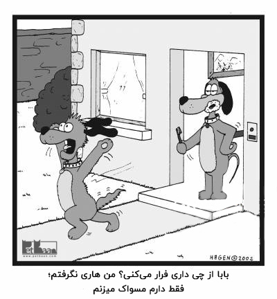 اهمیت بهداشت دهان و دندان سگ
