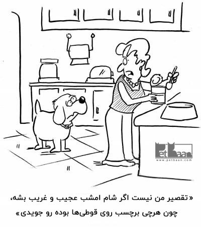 سگ ها جویدن و کندن زمین را دوست دارند